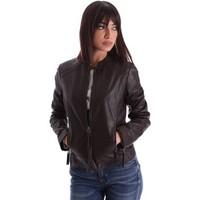 pepe jeans pl401097 jacket women brown womens tracksuit jacket in brow ...