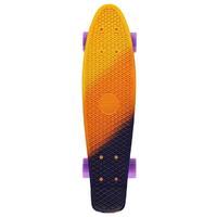 penny complete board