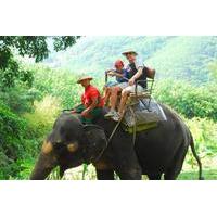 phuket half day safari tour