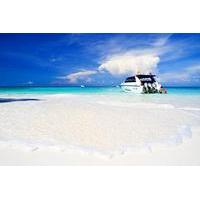 phi phi island day trip by speedboat from phuket including buffet lunc ...