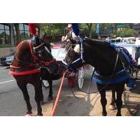 Philadelphia Horse Drawn Carriage Tour