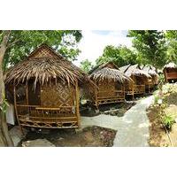 Phi Phi Hill Bamboo Bungalow