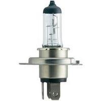 philips 49024730 bulb p43t