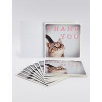 Photographic Kitten Thank You Cards