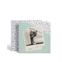 Photographic Kitten Birthday Card