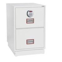 Phoenix Fire File 2262e