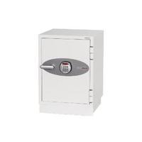 Phoenix Data Combi Safe DS2501E