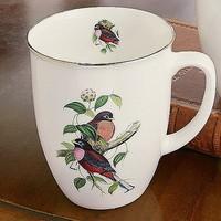 Philippine Trogon Mug