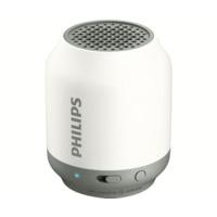 philips bt50 greywhite