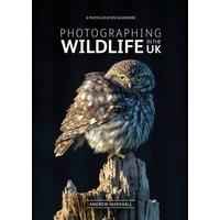 Photographing Wildlife in the UK - where and how to take great wildlife photographs