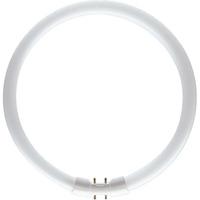 Philips Master TL5 Circular Tube 40W - Warm White