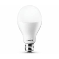 Philips LED-TL 15W (100W) E27