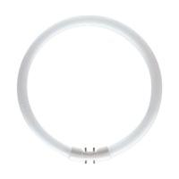 philips master tl5 circular 22w840