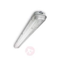 philips tcw060 damp proof light g13 1x 18 w