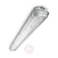 Philips TCW060 Damp-Proof Light G13 1x 58 W