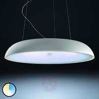 Philips Hue LED hanging light Amaze in white