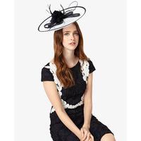 phase eight lacey disc fascinator