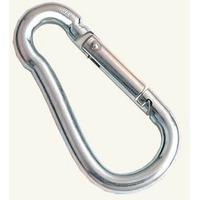 Physical Company Karibiner (8cm)