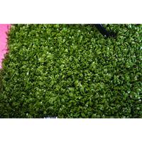 Physical Company Artificial Grass