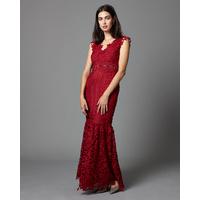 Phase Eight Sauvan Lace Dress