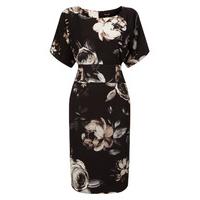 Phase Eight Joanie Floral Dress