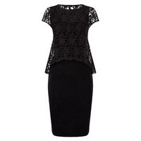 phase eight lexus lace knit dress