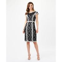 Phase Eight Hanan Lace Dress