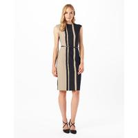 Phase Eight Robyn Stripe Colour Block Dress