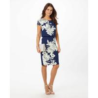 Phase Eight Nanette Print Dress