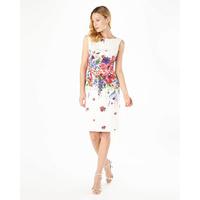 Phase Eight Louis Floral Dress