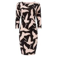 phase eight brona bird print dress