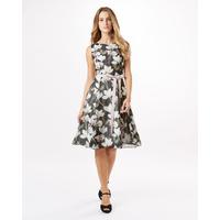 Phase Eight Floris Dress