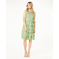 Phase Eight Genie 3D Lace Dress