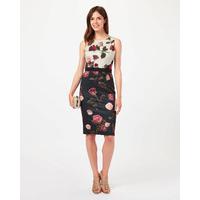 Phase Eight Rose Scuba Dress