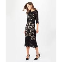 Phase Eight Anna Placement Lace Dress