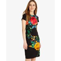 Phase Eight Maddie Placement Print Dress