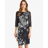 Phase Eight Agatha Lace Print Dress