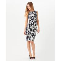 Phase Eight Iris Printed Dress