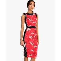 Phase Eight Genova Print Dress