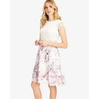Phase Eight Florence Dress