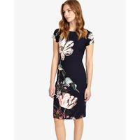 phase eight marguerite print dress