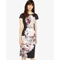 phase eight jennifer dress