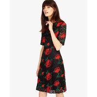 Phase Eight Rose Embroidered Lace Dress