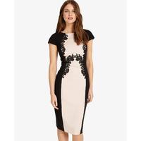 Phase Eight Gilly Lace Trim Dress