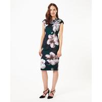 phase eight abilia scuba dress