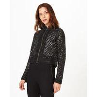 Phase Eight Belluci Jacket