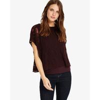 Phase Eight Leigh Leaf Burnout Top