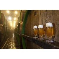 Pilsen Highlights Small-Group Tour and Pilsner Brewery Tour including Lunch and Beer Tasting