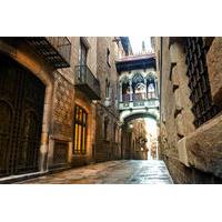 Picasso Museum and Gothic Quarter Walking Tour in Barcelona