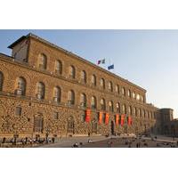 Pitti Palace Guided Walking Tour